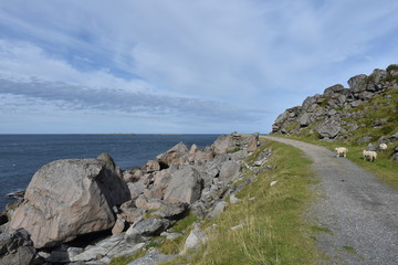 Norwegen, Lofoten, Leknes, Uttakleiv, Haukland, Haukland Beach, Schotterstraße, Küste,...