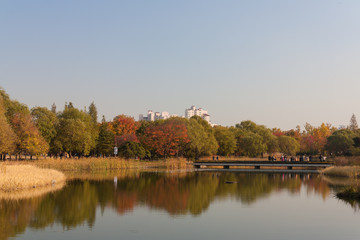 Fototapeta na wymiar Autumn lake at the Olympic Park in Seoul, South Korea