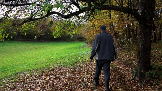 Man walks next to autumn forest - (4K)