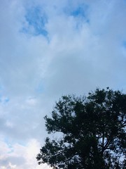 blue sky with clouds