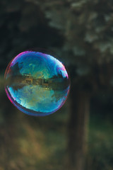 soap bubble on green background