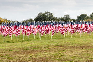 flags on the field