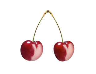 isolated red cherry