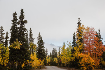 autumn landscape with colorful trees and blue sky