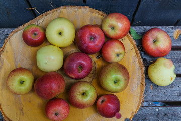 fresh red apples on a circle of birch