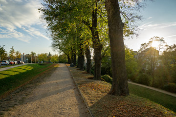 autumn in the park - sunny day