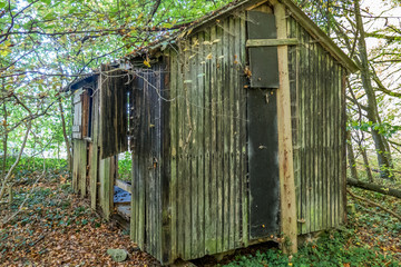 Kaputte Hütte im Wald
