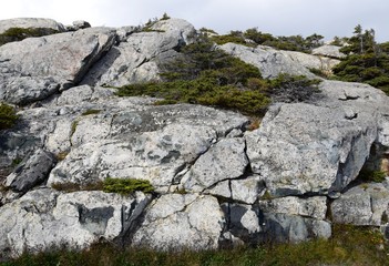 closeup of a rock landscape in Newfoundland 
