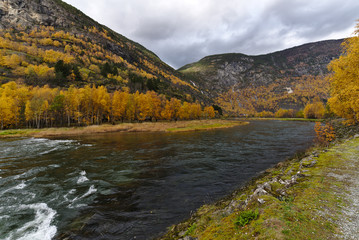 Fototapeta premium Norway river side in Autumn