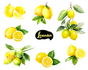 Lemon fruits watercolor set hand draw illustration. - obrazy, fototapety, plakaty