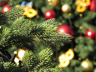 Christmas decorations. Green fir branches on background of New year toys, christmas tree, festive card