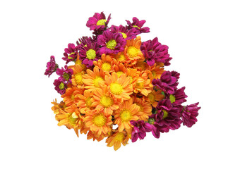 菊の花束