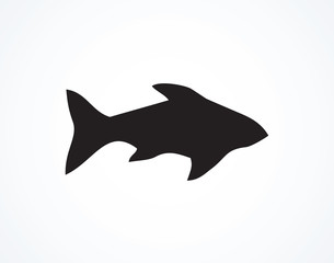 Narwhal. Vector drFish. Vector drawingawing