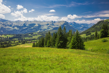Fototapeta premium Beautiful summer landscape of Switzerland with Grosser Mythen mountain and green meadows, Ibergeregg, Switzerland, Europe