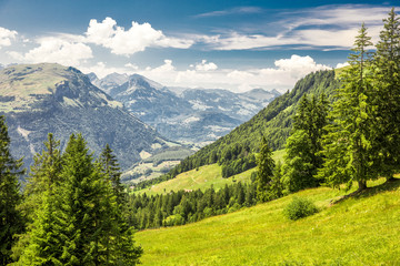 Beautiful summer landscape of Switzerland with Grosser Mythen mountain and green meadows, Ibergeregg, Switzerland, Europe