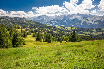 Fototapeta na wymiar Beautiful summer landscape of Switzerland with Grosser Mythen mountain and green meadows, Ibergeregg, Switzerland, Europe