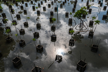 little farm in the park