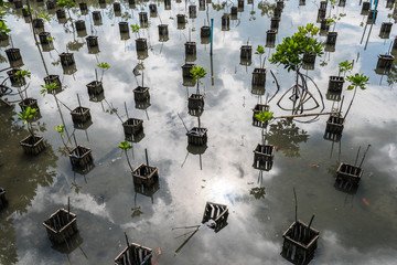 little farm in the park