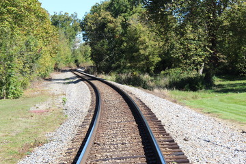 Staring down the train tracks , These go out into the woods and out of sight. the brown railroad ties and gravel hold all this into place.