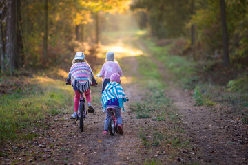 Dzieci na rowerach w jesiennym lesie - obrazy, fototapety, plakaty