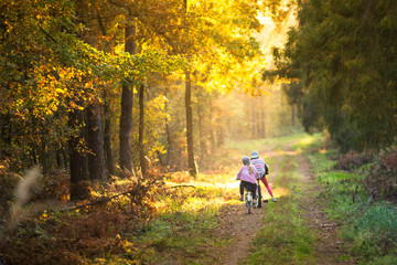 Dzieci na rowerach w jesiennym lesie - obrazy, fototapety, plakaty