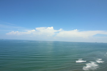 colibrí © roselosfoto