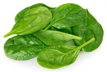 Fresh spinach on white background