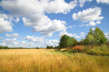 Fototapeta premium Beautiful autumn landscape with white clouds. Rural place