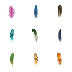 Fashion feather icon set. Realistic set of fashion feather vector icons for web design isolated on white background