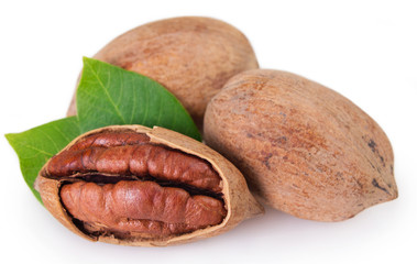 Pecan nut on white background