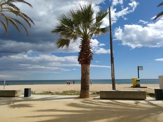 Playa con palmeras y cielo nuboso