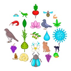 Full blooded icons set. Cartoon set of 25 full blooded vector icons for web isolated on white background