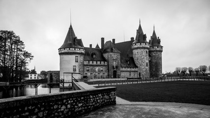 Fototapeta na wymiar Château de Sully sur Loire