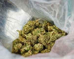 Search Photos Bag Of Weed Search Photos Bag Of Weed