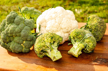 Broccoli cabbage in the garden on a wooden table.