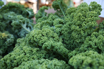  fresh kale cabbage
