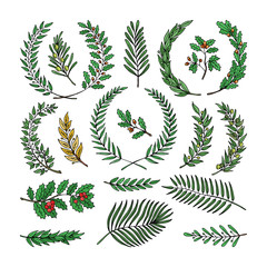 Wreath vector tree branch herald wreathed decoration with wreathen olive leaves and wreathed flaurel decor illustration set of heraldry greek award decoration isolated on white background