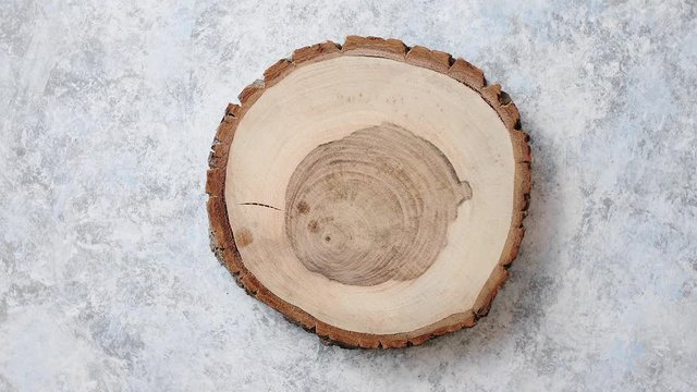 Aged cracked wooden tree section with rings and texture placed od stone background