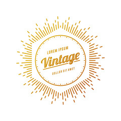 Retro Vintage Insignias or Logotypes. Vector design elements, business signs, logos, identity, labels, badges and objects.