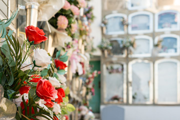 Flowers in a cemetery