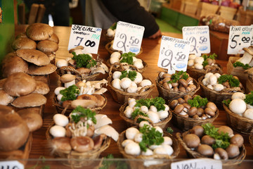 mushrooms in the market