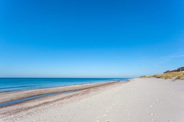 Fototapeta na wymiar bright wild beach of white sand by the blue sea, Curonian Spit National Park