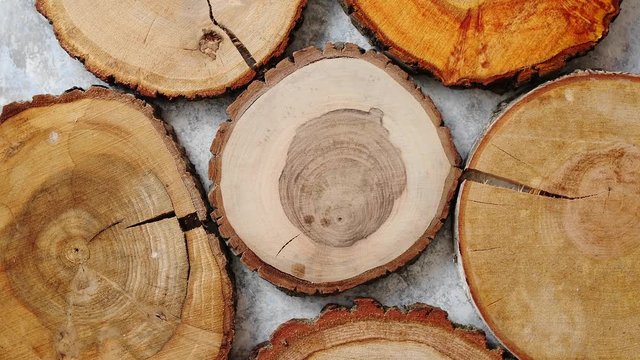 A few aged, cracked, wooden, circular tree section with rings and texture placed on stone table. With copy space.