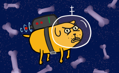 Bobi Espacial (bobi2018) © Clara Garcia