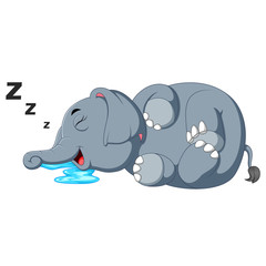 an elephant is sleeping soundly