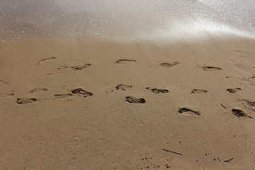 Children and the sea