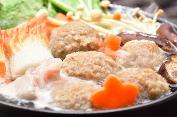 Fototapeta na wymiar 鶏団子の鍋料理