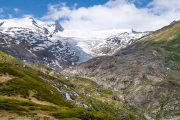Gletscher am Großvenediger Osttirol Innergschlöß im Sommer mit blühenden Almrosen