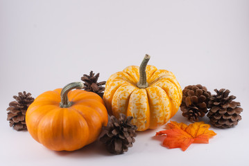 Orange pumpkin, white and orange pumpkin, orange maple leaf, pine cones with a white background