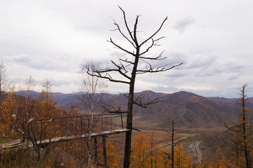 Beautiful view point of Altai mountain on the way from Chemal district to Aktash,Russia.